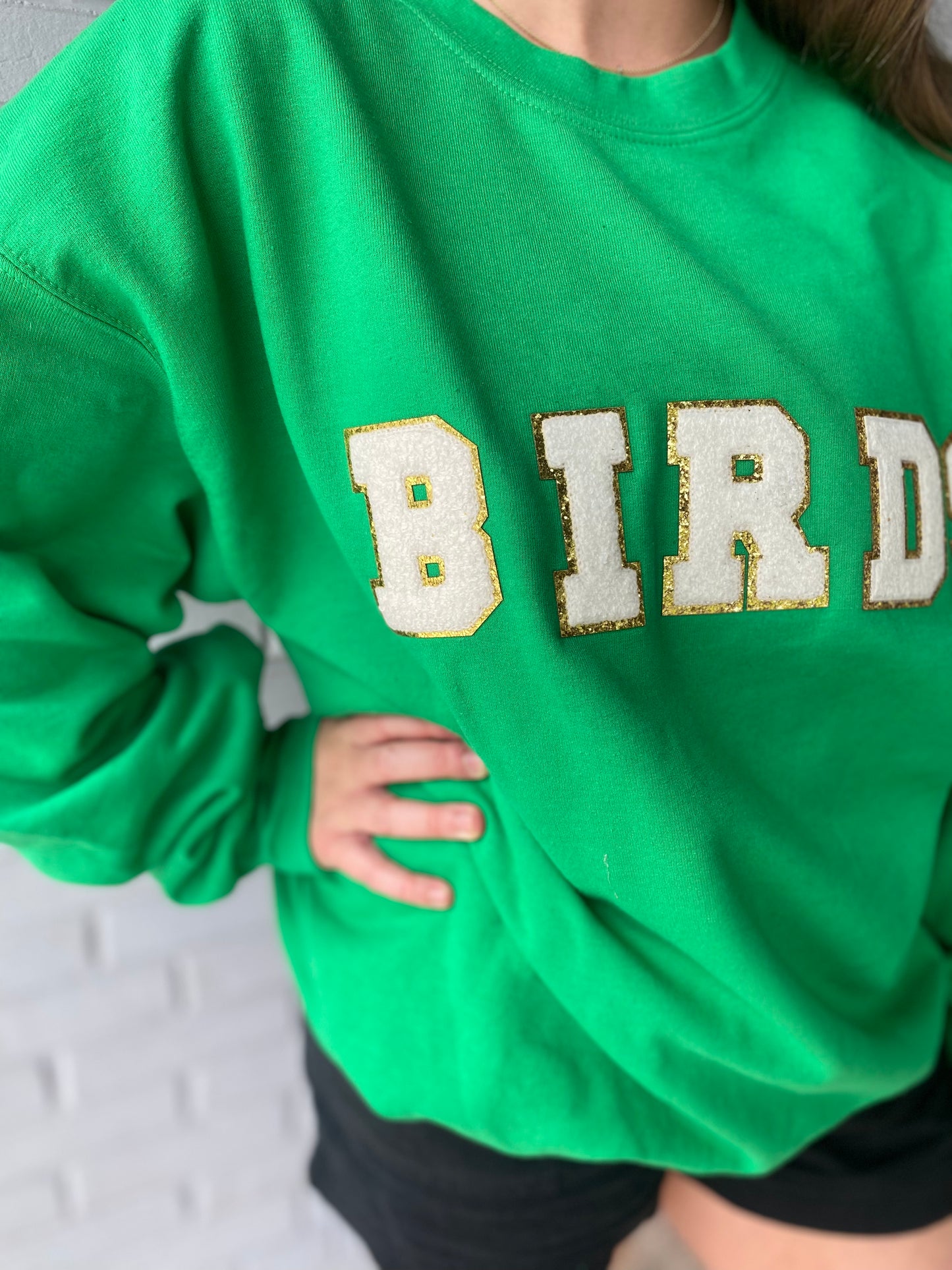 Load image into Gallery viewer, GREEN BIRDS Varsity  Crewneck-  PRE-ORDER

