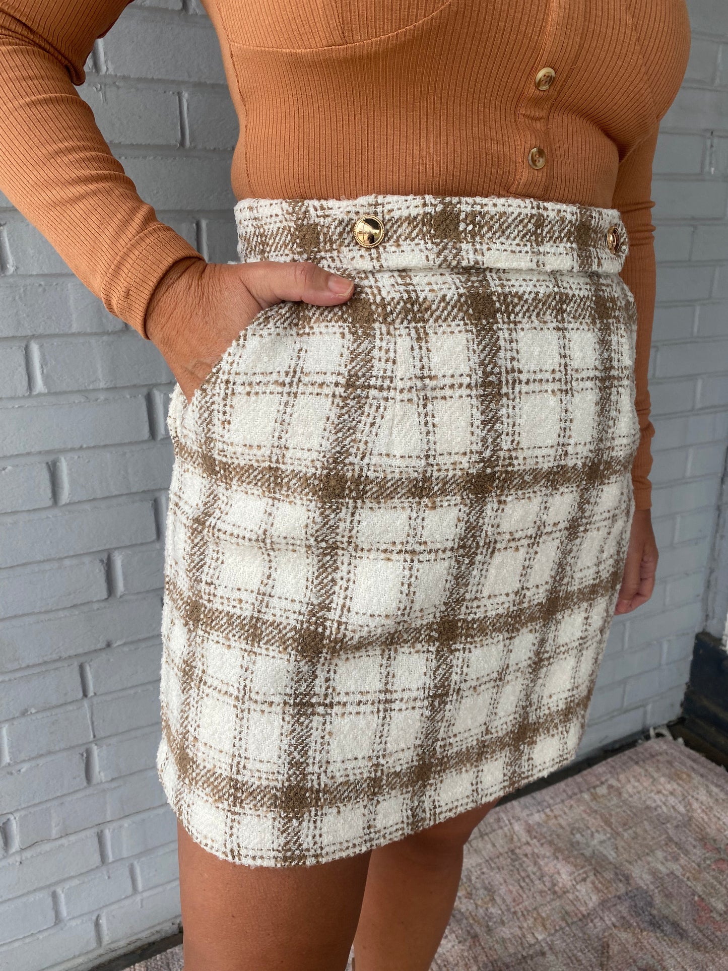 Sweet and Classic Skirt